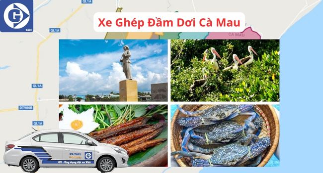 Xe Ghép Đầm Dơi Cà Mau Tải App GVTaxi