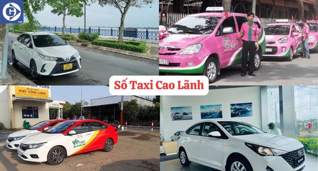 Số Taxi Cao Lãnh Tải App GVTaxi