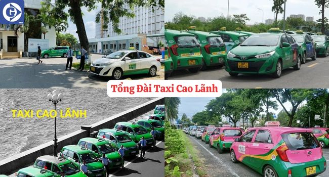 Tổng Đài Taxi Cao Lãnh Tải App GVTaxi