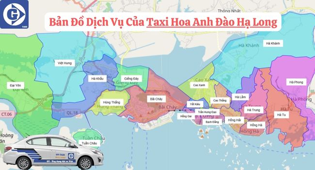 Taxi Hoa Anh Đào Hạ Long Tải App GVTaxi