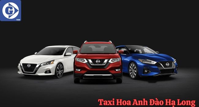 Taxi Hoa Anh Đào Hạ Long Tải App GVTaxi