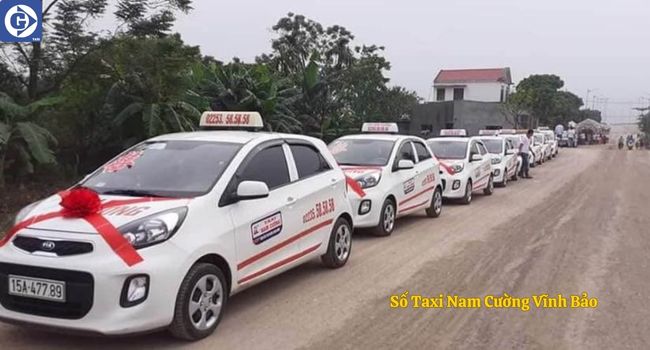 Số Taxi Nam Cường Vĩnh Bảo Tải App GVTaxi