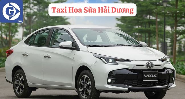 Taxi Hoa Sữa Hải Dương Tải App GVTaxi