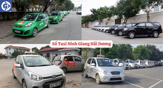 Số Taxi Ninh Giang Hải Dương Tải App GVTaxi