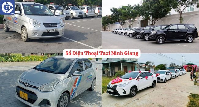 Số Điện Thoại Taxi Ninh Giang Tải App GVTaxi