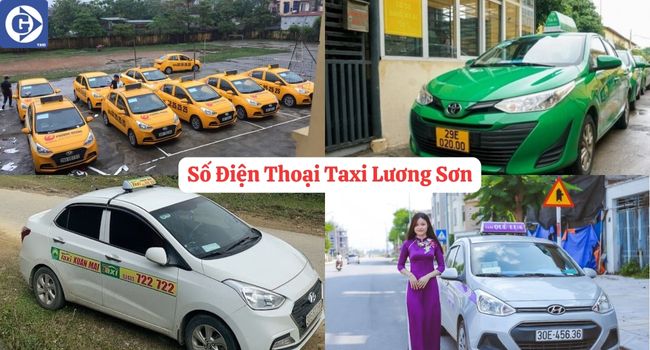 Số Điện Thoại Taxi Lương Sơn Tải App GVTaxi