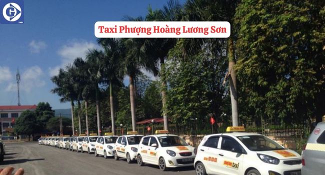 Taxi Phượng Hoàng Lương Sơn Hòa Bình Tải App GVTaxi