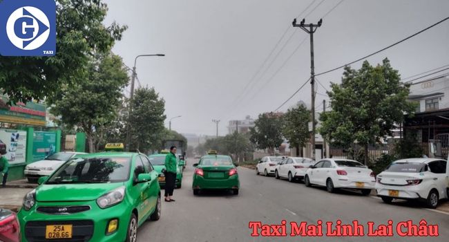 Taxi Mai Linh Lai Châu Tải App GVTaxi