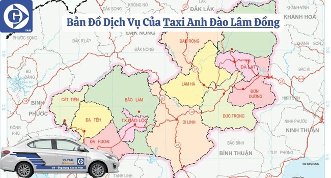 Taxi Anh Đào Lâm Đồng Tải App GVTaxi