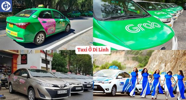 Taxi Ở Di Linh Tải App GVTaxi