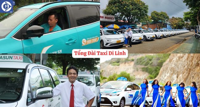 Tổng Đài Taxi Di Linh Tải App GVTaxi