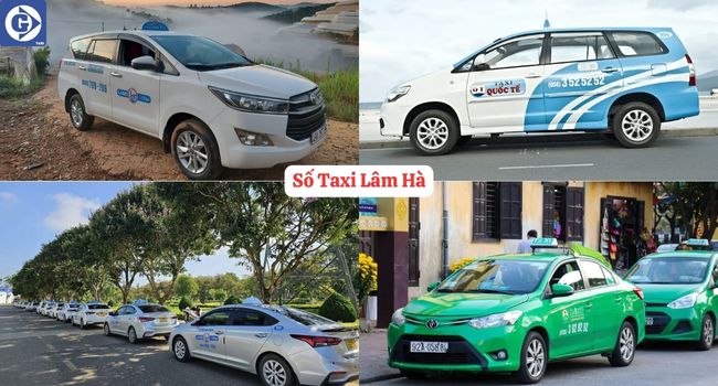 Số Taxi Lâm Hà Tải App GVTaxi