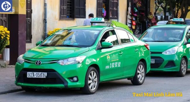 Taxi Mai Linh Lâm Hà Tải App GVTaxi