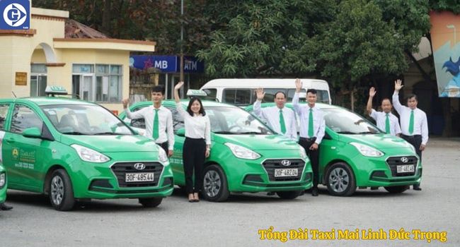 Tổng Đài Taxi Mai Linh Đức Trọng Tải App GVTaxi