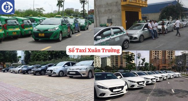 Số Taxi Xuân Trường Nam Định Tải App GVTaxi