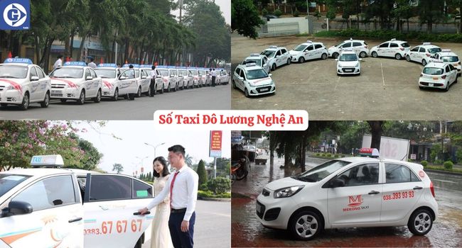 Số Taxi Đô Lương Nghệ An Tải App GVTaxi