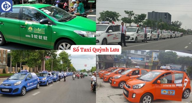 Số Taxi Quỳnh Lưu Tải App GVTaxi