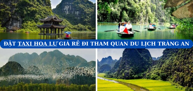 Đánh giá dịch vụ và thông tin Top 6 hãng Taxi Hoa Lư Ninh Bình giá rẻ; Minh Long, Nguyên Minh, Mai Linh. TT Thiên Tôn, Trường Yên, Ninh Hòa, Ninh Giang