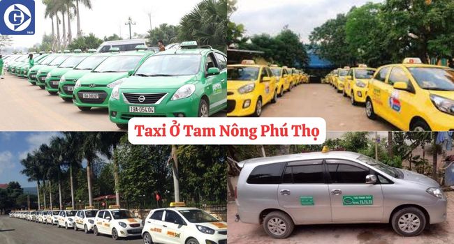 Taxi Ở Tam Nông Phú Thọ Tải App GVTaxi