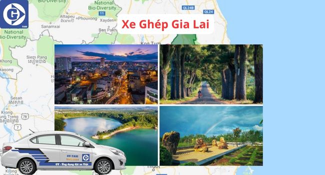 Xe Ghép Gia Lai Tải App GVTaxi