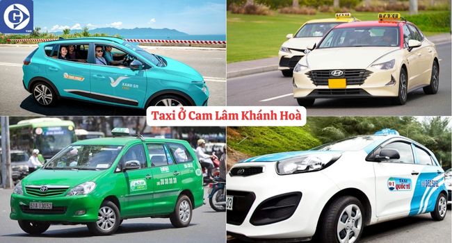 Taxi Ở Cam Lâm Khánh Hòa Tải App GVTaxi