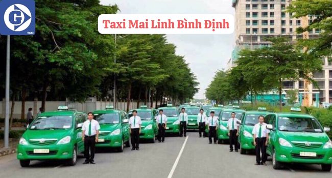 Taxi Mai Linh Bình Định Tải App GVTaxi