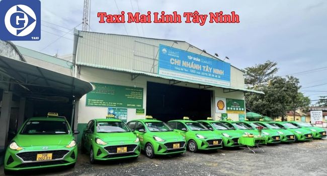 Taxi Mai Linh Tây Ninh Tải App GVTaxi