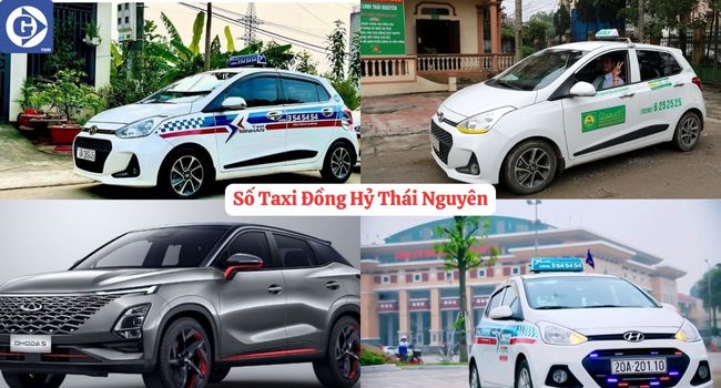 Số Taxi Đồng Hỷ Thái Nguyên Tải App GVTaxi