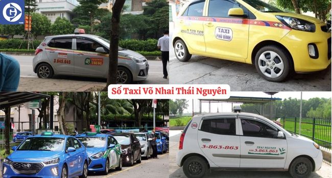 Số Taxi Võ Nhai Thái Nguyên Tải App GVTaxi