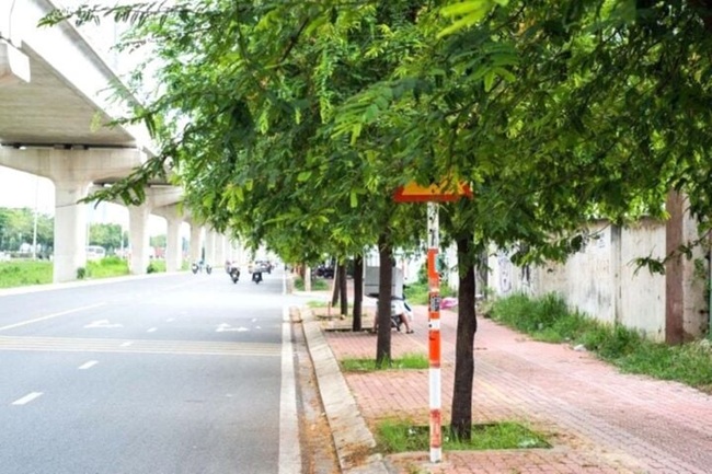 Biển Báo Cấm Bị Che Khuất