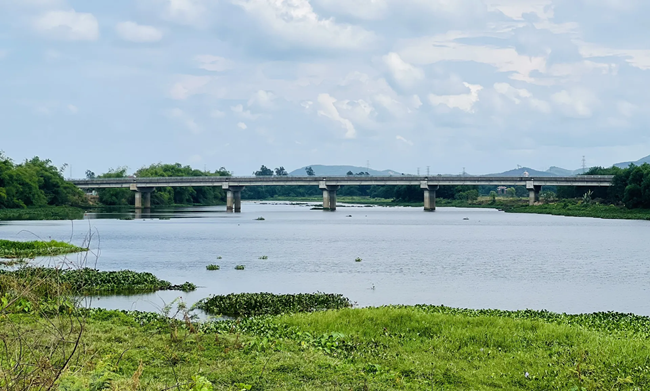 Ảnh Minh Họa