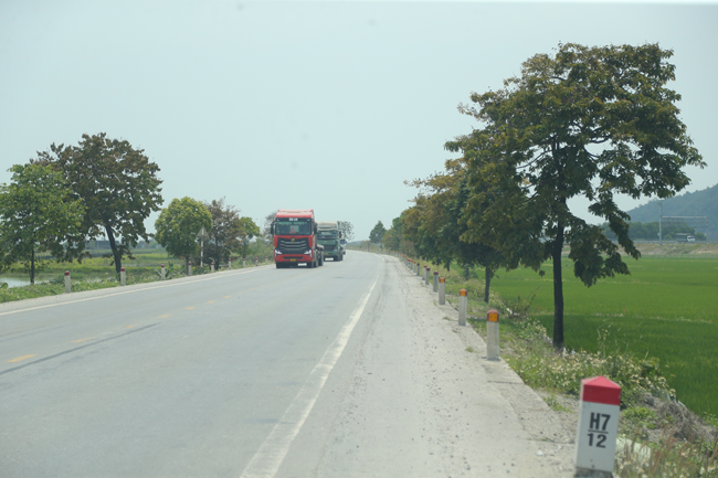 Hộ Lan Xanh Trên Đường Quốc Lộ