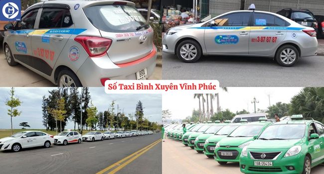 Số Taxi Bình Xuyên Vĩnh Phúc Tải App GVTaxi