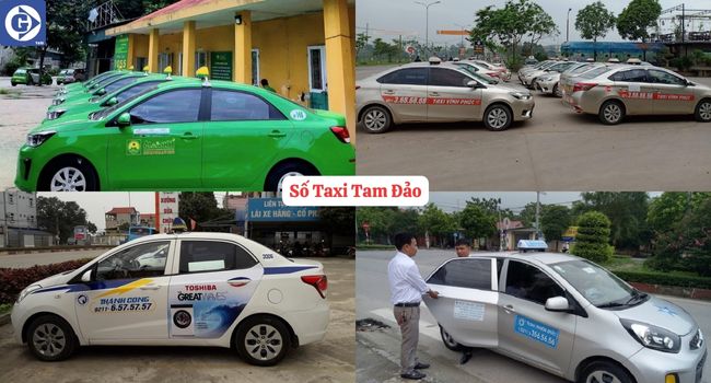 Số Taxi Tam Đảo Tải App GVTaxi