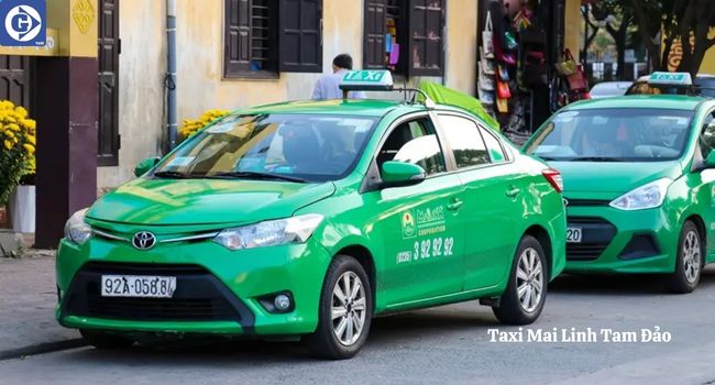 Taxi Mai Linh Tam Đảo Tải App GVTaxi