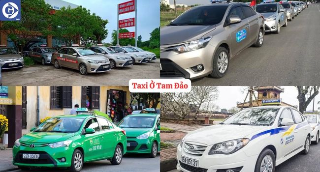 Taxi Ở Tam Đảo Tải App GVTaxi