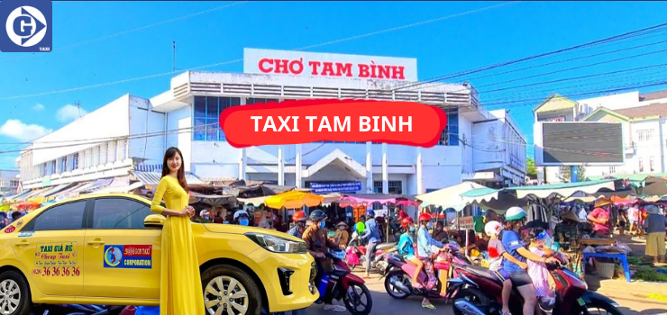 Số Điện Thoại Sdt Tổng Đài Taxi Tam Bình Vĩnh Long và đánh giá dịch vụ.